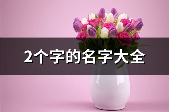 2個(gè)字的名字大全(優(yōu)選2397個(gè))